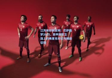 江苏体彩网官网：巴萨圆梦2025，西甲冠军之路上的弗里克印记与挑战征程